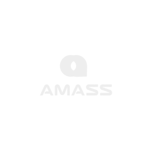 AMASS